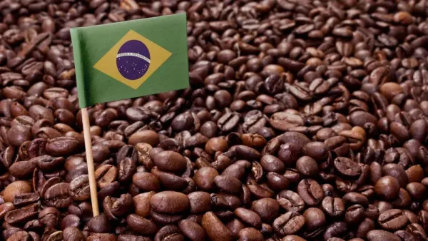 Brasil: Un modelo para el desarrollo de la industria del café a través del comercio internacional